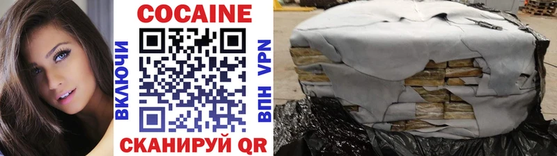 где купить Новосокольники COCAIN 97%