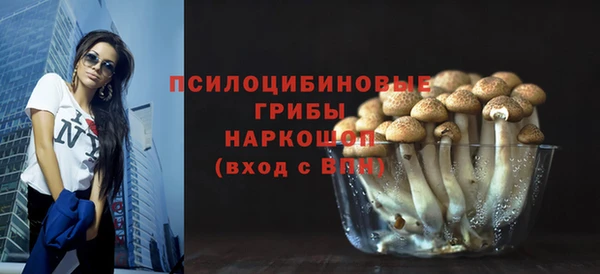 твердый Лагань