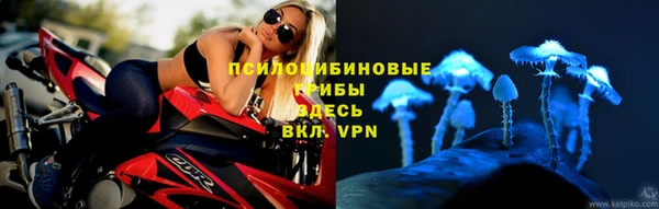 apvp Ладушкин