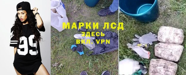 apvp Ладушкин