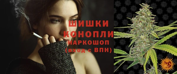 твердый Лагань