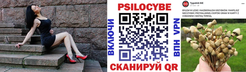 ссылка на мегу рабочий сайт  Новосокольники  Галлюциногенные грибы GOLDEN TEACHER 