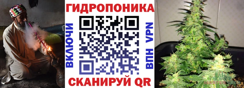 как найти закладки  кракен маркетплейс  Марихуана семена  Новосокольники 